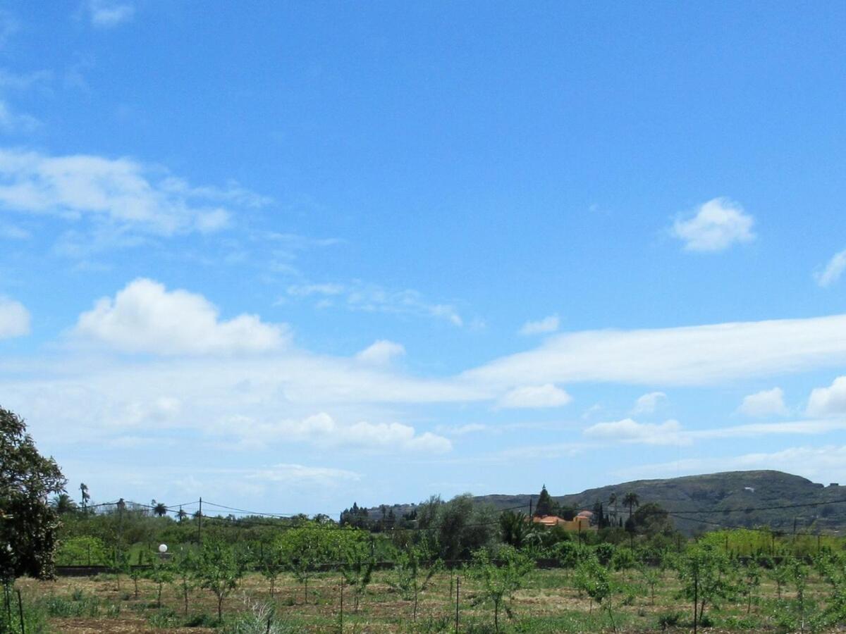 Casa Rural El Alpendre 베가데산마테오 외부 사진