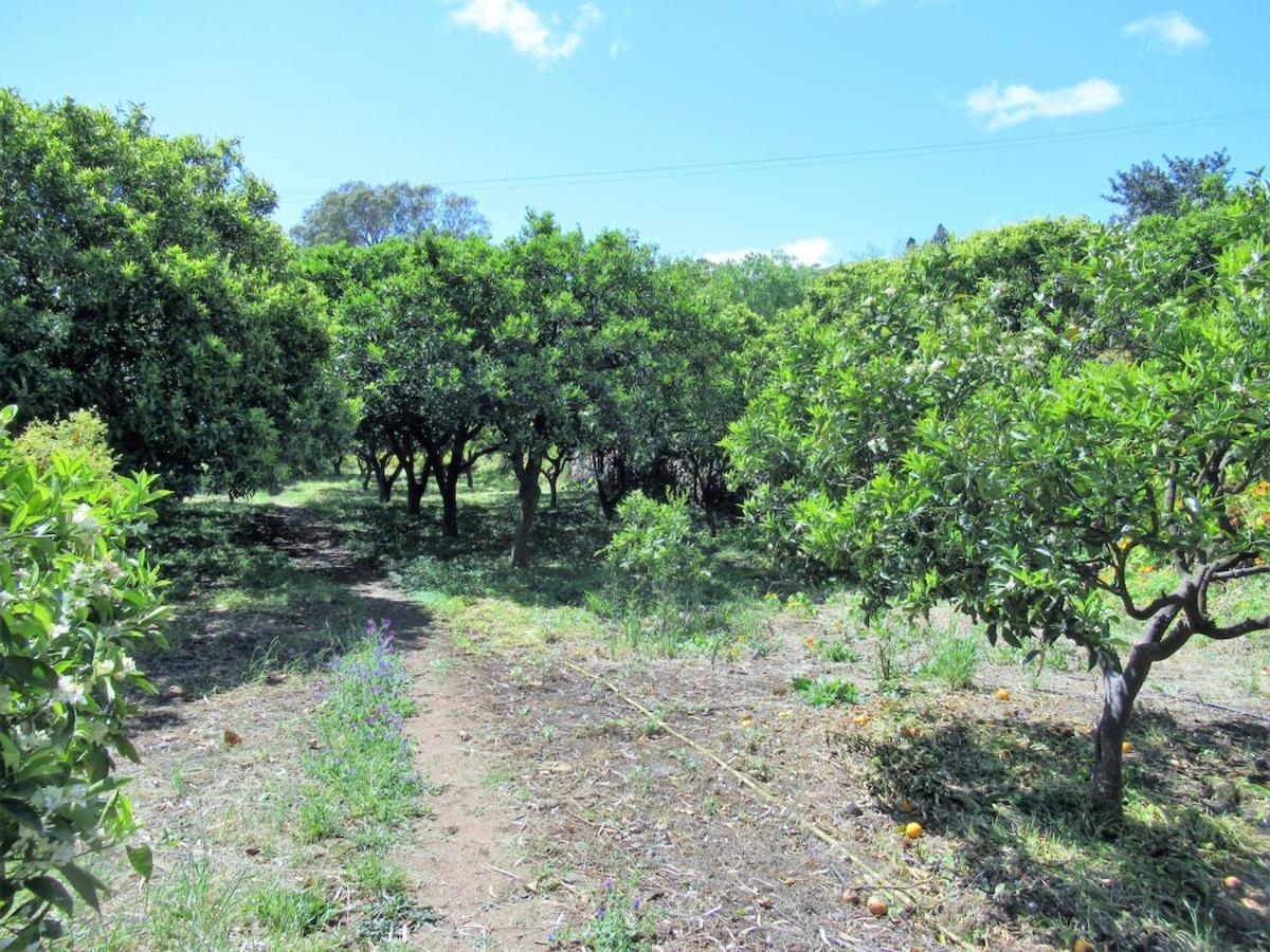 Casa Rural El Alpendre 베가데산마테오 외부 사진