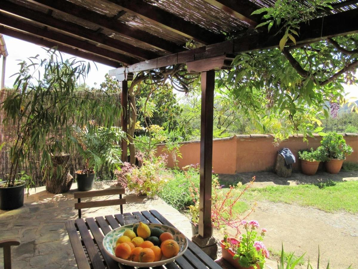 Casa Rural El Alpendre 베가데산마테오 외부 사진